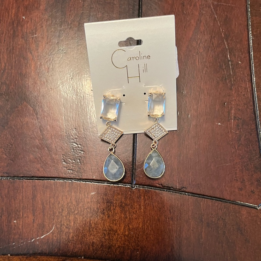 Droplet earrings from local boutique.  Brand new.  Never worn. Paid $30.